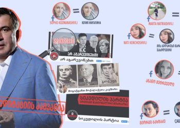 30 ყალბი ანგარიში და 12 ყალბი ფეისბუქ მომხმარებელი – ტროლები სააკაშვილის წინააღმდეგ – “მითების დეტექტორი”