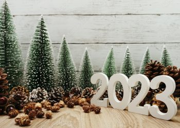 „რატომ რთავენ საშობაოდ ნაძვის ხეს?“