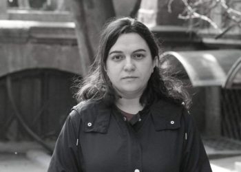 საიას ახალი თავმჯდომარე ნონა ქურდოვანიძე იქნება