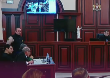 “ამას პაპუასები ხომ არ ვგონივართ” – პენიტენციურის წარმომადგენელი სმიტზე