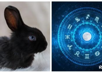 როგორ უნდა შევხვდეთ შავი კურდღლის წელს და რა რიტუალები უნდა ჩავატაროთ იმისათვის, რომ კეთილდღეობა და იღბალი მოვიზიდოთ