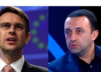 “ხელისუფლებაა პასუხისმგებელი სააკაშვილის ჯანმრთელობაზე” – პიტერ სტანო