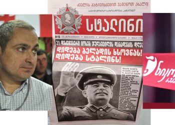 “ეს მავნებლობა “ნიკორაში” იყიდება, თბილისში!” – გოგოტიშვილი