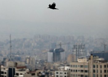 რა უნდა გააკეთოთ დაბინძურებული ჰაერის დროს?