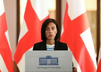 “ერთადერთი ადამიანი ვის გამოც ამ პარტიაში მოვედი – ციხეში ზის” – ანი წითლიძე