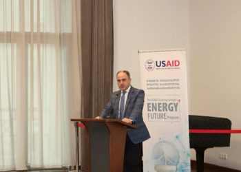 დავით ნარმანია ენერგეტიკული პოლიტიკის ფორუმზე სიტყვით წარდგა