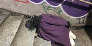 ,,ქაშუეთის წინ, მიწისქვეშა გადასასვლელშია ეს ქალი, ია ჰქვია… გაიყინება… რით უნდა დავეხმაროთ?” – გოგა ჩანადირი