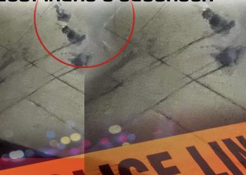 ვინ არის პიროვნება, რომელმაც საგარეჯოში რამდენიმე ადამიანი იმსხვერპლა?