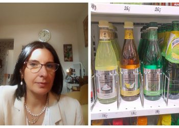 „ქართული ბრენდები “რუსული დელიკატესების” მაღაზიაში შვედეთში…გამოდის, აქაც თავს გვჭრიან რუსები“ – ნინო ბიწაძე