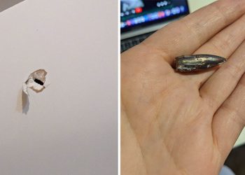 “ტყვია აღმოჩნდა, აი, ასე უმიზნოდ გასროლილი – თქვენი გასროლილი ტყვია ვის სავარძელს მოხვდება არავინ იცის” – გვანცა კასრაშვილი