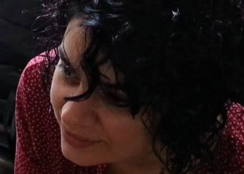 „სამიდან ექვს იანვრამდე ტროლებიც ისვენებენ?“ – ქეთი დევდარიანი