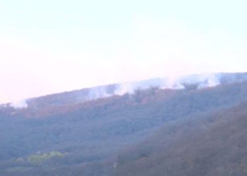 კახეთში, სოფელ ართანასთან ხანძარია