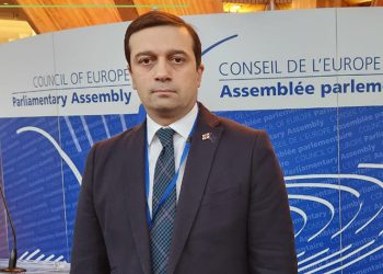 რუსეთის წინააღმდეგ რა რეზოლუციას დაუჭირა მხარი საქართველომ?