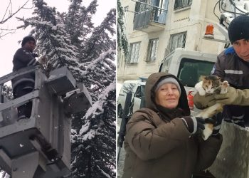 კატა, რომელიც 3 დღეა ხიდან ვერ ჩამოდიოდა, მაშველებმა პატრონთან დააბრუნეს – ფოტოები