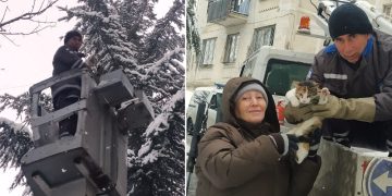 კატა, რომელიც 3 დღეა ხიდან ვერ ჩამოდიოდა, მაშველებმა პატრონთან დააბრუნეს – ფოტოები