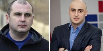 „კარგია რომ გამოცოცხლებულია და იძულებულია გარეთ გამოვიდეს“ – ხაბეიშვილი მელიაზე