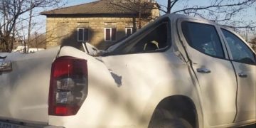 ფოთის მერიის თანამშრომელს ხე მაშინ დაეცა, როცა ფოტოებს იღებდა მერიის სამუშაოს გასაპიარებლად – დეტალები