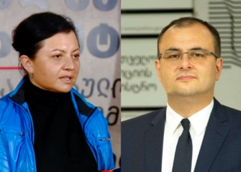 “სამხარაულის არცერთ ექსპერტს არ უნახავს პაციენტი…” – ხერხეულიძე ბრეგაძის განცხადებაზე