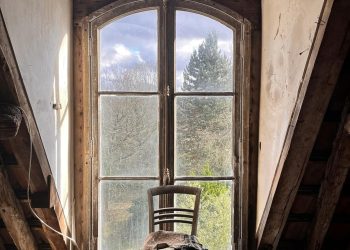 „ასე გამოიყურება ლევილი დღეს – შენობა ჩამონგრეულია და წყალი ჩადის, სახურავზე ყრია წიგნები და ხელნაწერები“