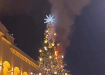 თბილისის მთავარ ნაძვის ხეს ცეცხლი გაუჩნდა