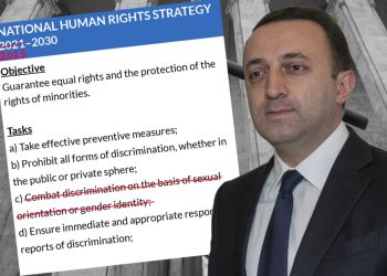 “საქართველოს (არა) ადამიანების უფლებათა დაცვის ახალი სტრატეგია” – რას წერს OC-Media