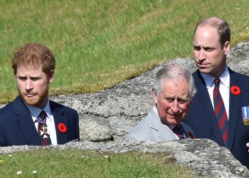 პრინცი ჰარი ძმას, პრინც უილიამს ძალადობაში სდებს ბრალს – Guardian