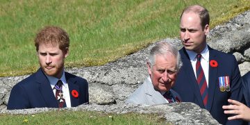 პრინცი ჰარი ძმას, პრინც უილიამს ძალადობაში სდებს ბრალს – Guardian