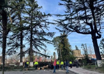 სტიქიის შედეგად გურიაში მამაკაცი დაშავდა