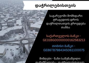 “აი, ასეთი ხალხი ცხოვრობს საგარეჯოში, დავამტკიცეთ, რომ ჭირშიც და ლხინშიც ერთმანეთის გვერდით ვართ” – “საგარეჯო”