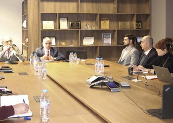 დავით ნარმანია USAID-ის საქართველოს ენერგეტიკის მომავლის უზრუნველყოფის  პროგრამის წარმომადგენლებს შეხვდა