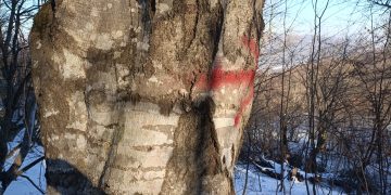 “შიშის ზონები” საქართველოში – “შიშის ზონების საერთო ფართობი შეადგენს მინ. 60 000 000+ კვადრატულ მეტრს”