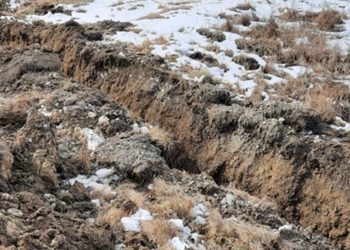 “გონება დავკარგე და თხრილში ჩავარდნილი ჩემი უსიცოცხლო სხეული თოვლმა დაფარა…”  – ისტორია სოციალური ქსელიდან