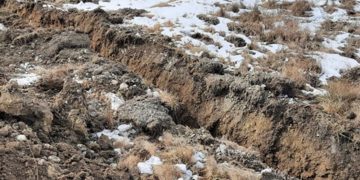 “გონება დავკარგე და თხრილში ჩავარდნილი ჩემი უსიცოცხლო სხეული თოვლმა დაფარა…” – ისტორია სოციალური ქსელიდან