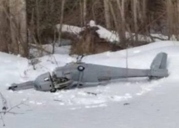 მოსკოვის ოლქში უკრაინული დრონი ჩამოვარდა