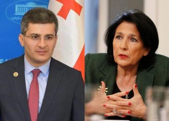 ,, სამწუხაროა, რომ თვით პრეზიდენტიც კი გაება ამ მახეში” – მამუკა მდინარაძე