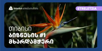 თიბისის მხარდაჭერით აშენებულ სათბურებში კომპანია „სტრელეციას“ საქართველოში უნიკალური მცენარეები გამოჰყავს
