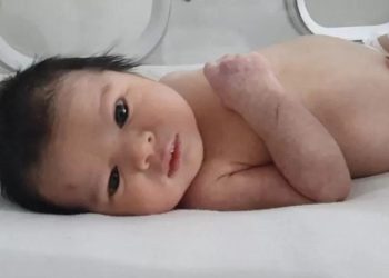 სირიაში მიწისძვრას გადარჩენილი ახალშობილის შვილად აყვანის სურვილი ათასობით ადამიანმა გამოთქვა