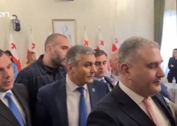 (ვიდეო)”რამე ხომ არ გეშლება ბიჭო, მიდი დააკაჩავე” – ჩხუბი და სიტყვიერი დაპირისპირება პარლამენტში