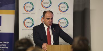 დავით ნარმანიამ ევროკავშირის დაფინანსებით სემეკში მიმდინარე პროექტის  ღონისძიებაზე მოხსენება გააკეთა