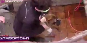 “ძაღლიც კი გამოათრიეს – ურა ამხანაგებო” – ხოხიაშვილი