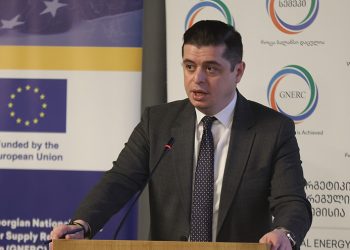 გიორგი ფანგანი „თვინინგ ლაითის“ ღონისძიებაზე სიტყვით წარდგა