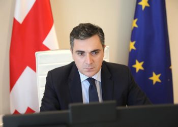 პარტნიორების მტკიცე პოზიციით, შესაძლებელია რუსეთის ძალადობის შეჩერება – საგარეო საქმეთა მინისტრი