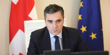 პარტნიორების მტკიცე პოზიციით, შესაძლებელია რუსეთის ძალადობის შეჩერება – საგარეო საქმეთა მინისტრი