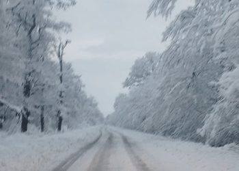 “ჯერ 1,5 საათი დააგვიანდა მატარებელს, ახლა ვართ გაჩერებული ხარაგაულთან, ერთი მოთოვა და დაერხა ყველაფერს”– ალექსანდრე გიორგაძე