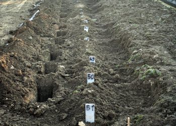 თურქეთში მიწისძვრის შედეგად დაღუპულებს ნომრების მიხედვით კრძალავენ