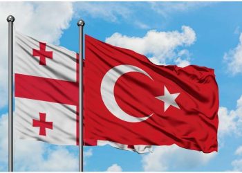 თურქეთში საქართველოს საელჩოსა და საკონსულოებში ცხელი ხაზი ამოქმედდა