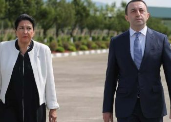 ირაკლი ღარიბაშვილი სალომე ზურაბიშვილს აღარ უჩივის