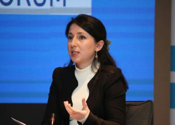 “სოციალურ ჭრილში რუსული კანონის შედეგები საგანგაშო იქნება” – თეონა ჭალიძე