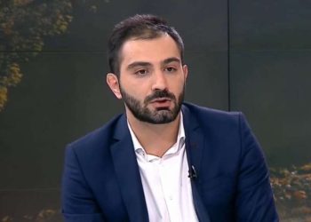 “ვაკის პარკის საქმეზე” მერიის გარემოს დაცვის სამსახურის ყოფილი უფროსი, გიგა გიგაშვილი დააკავეს