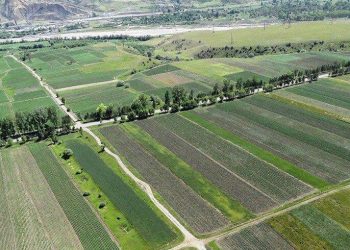 6 თვეში, უცხო ქვეყნის მოქალაქეებმა საქართველოში მიწის 1956 ნაკვეთი გადაიფორმეს